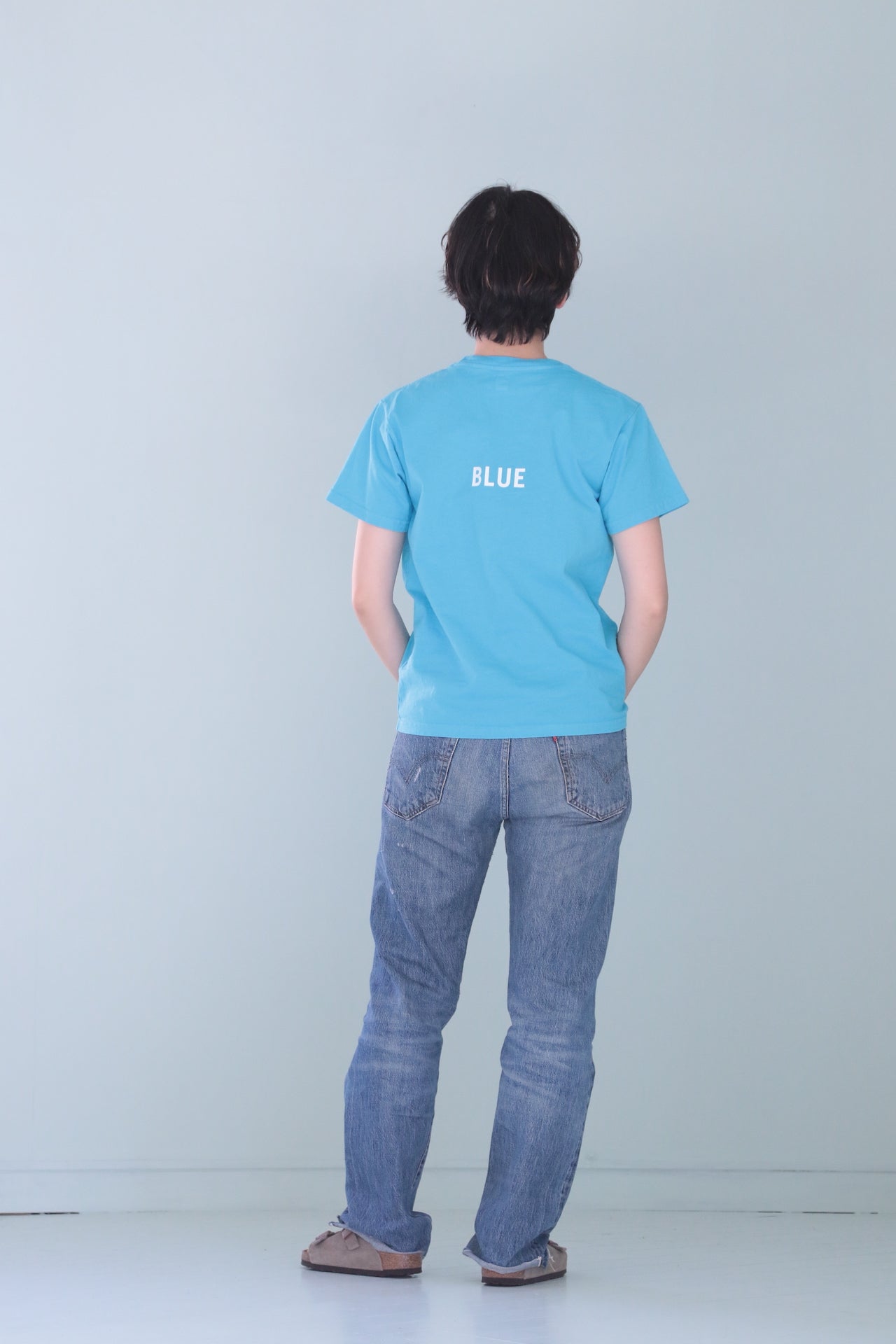 Short sleeve T-shirt/PERFECT-BLUE