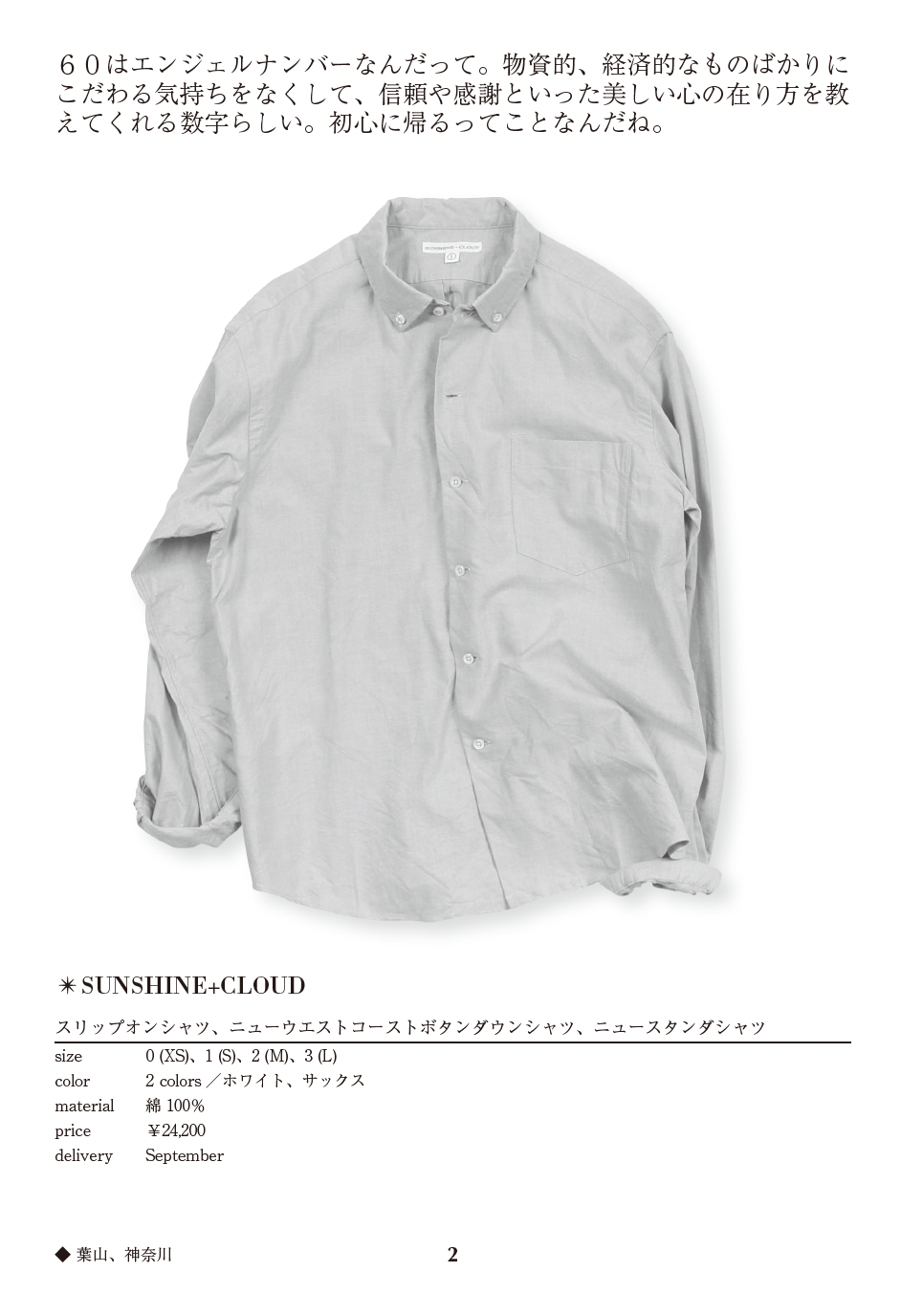 Slip on shirt, New West Coast button down shirt, New Standa shirt