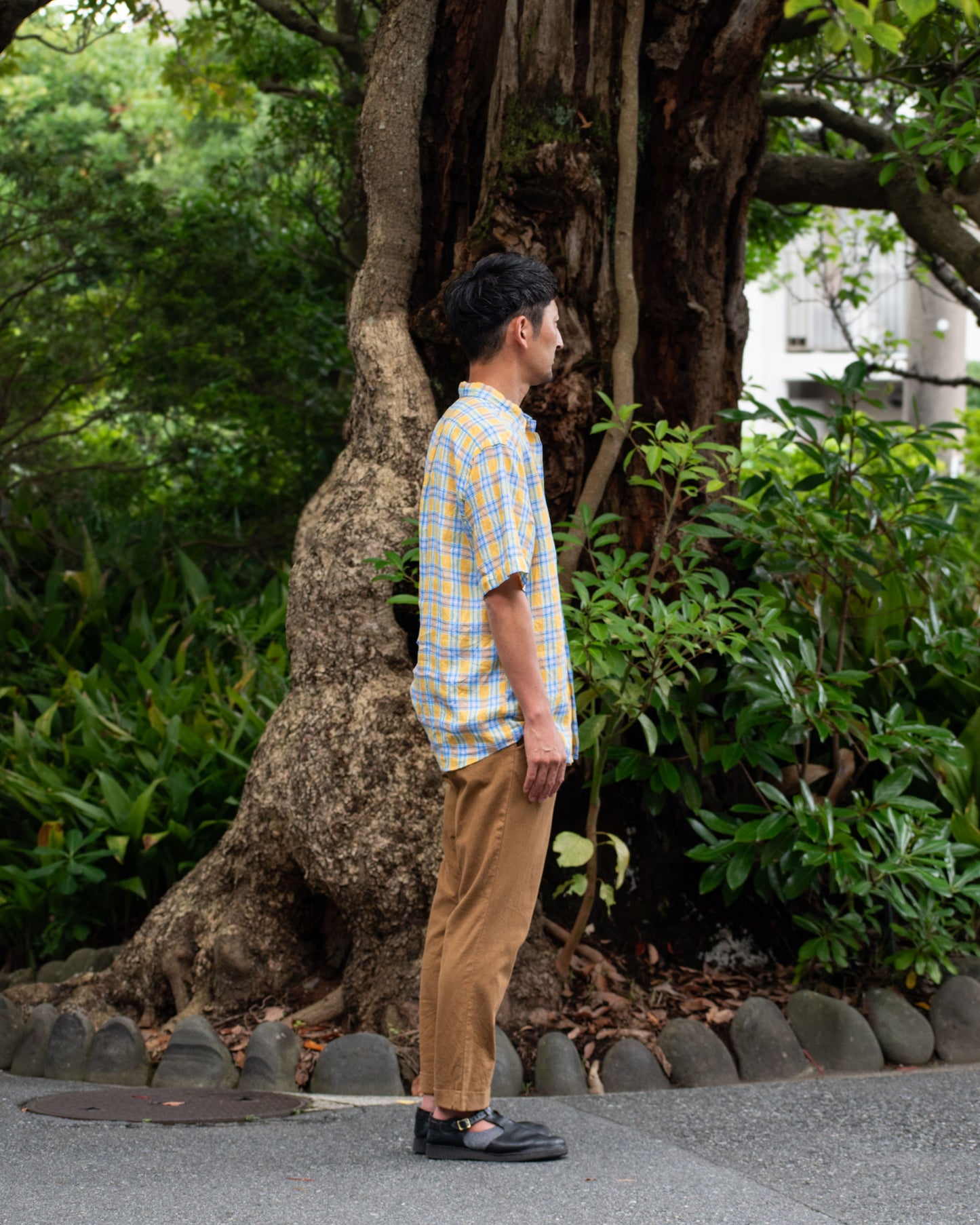 NEW WEST SS / CANCLINI YELLOW CHECK