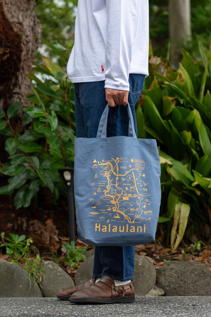 MAP TOTE