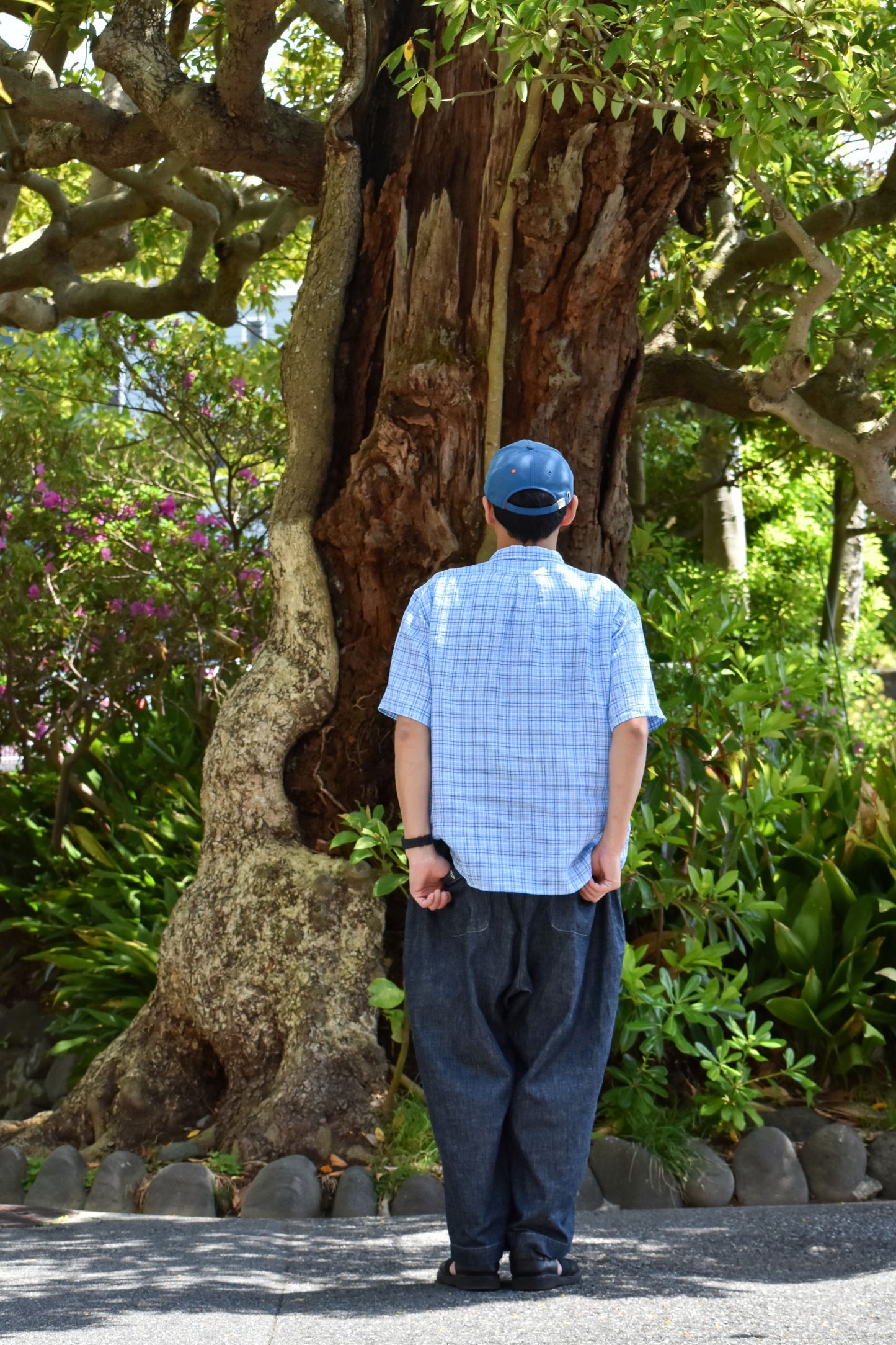 NEW WEST SHIRT SS / CANCLINI BLUE CHECK