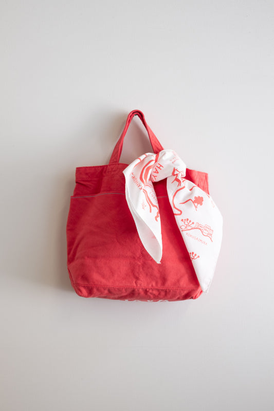 LITTLE MARKET BAG | カラーキャンバス