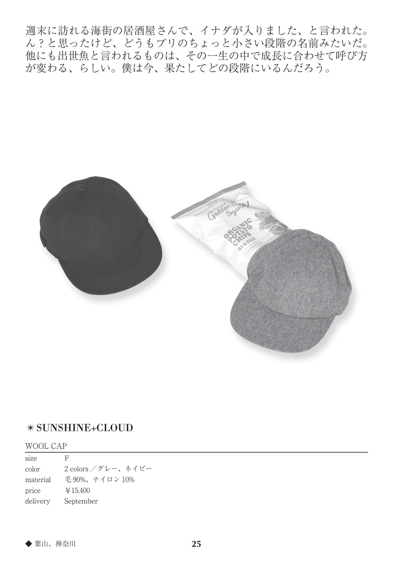 CATALOG 64 / 25 / p.25 WOOL CAP