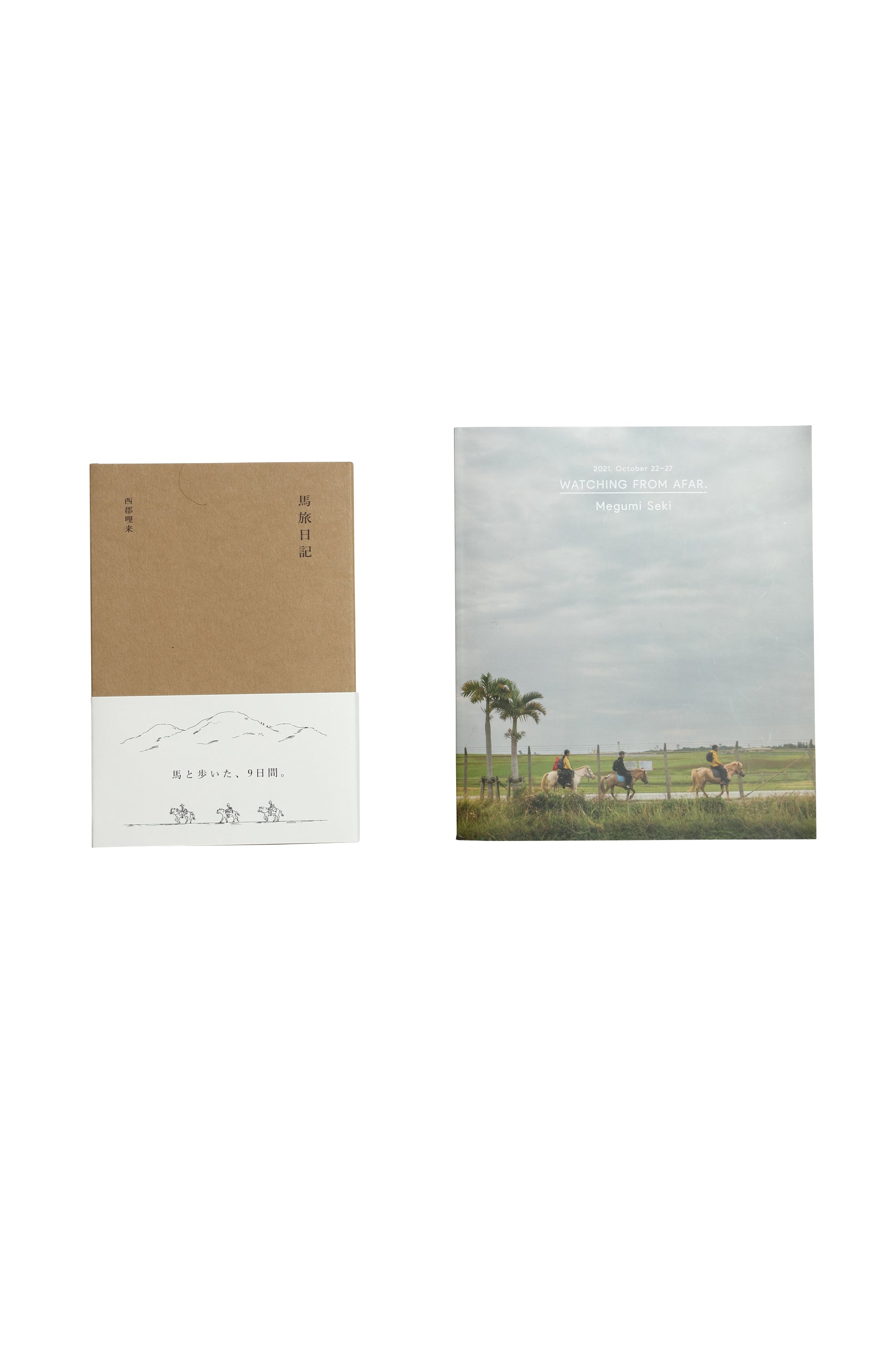 GROWN IN THE SUN – Sunshine+Cloud